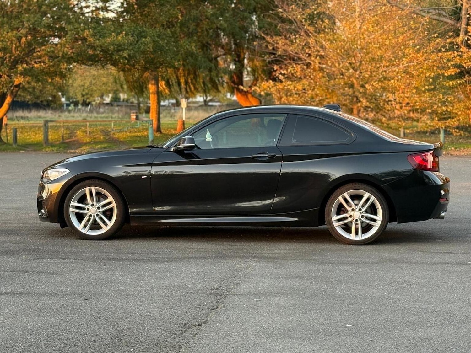 Used BMW 2 Series 2016 for sale - 76439853: Photo 7