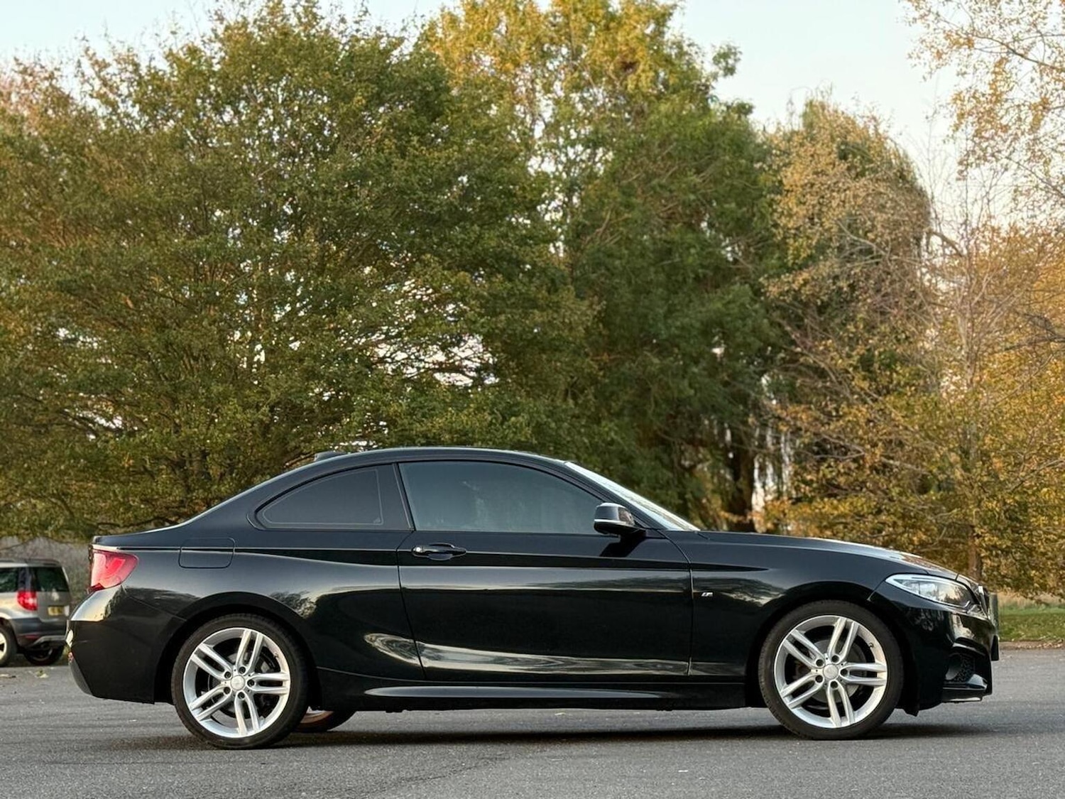 Used BMW 2 Series 2016 for sale - 76439853: Photo 8