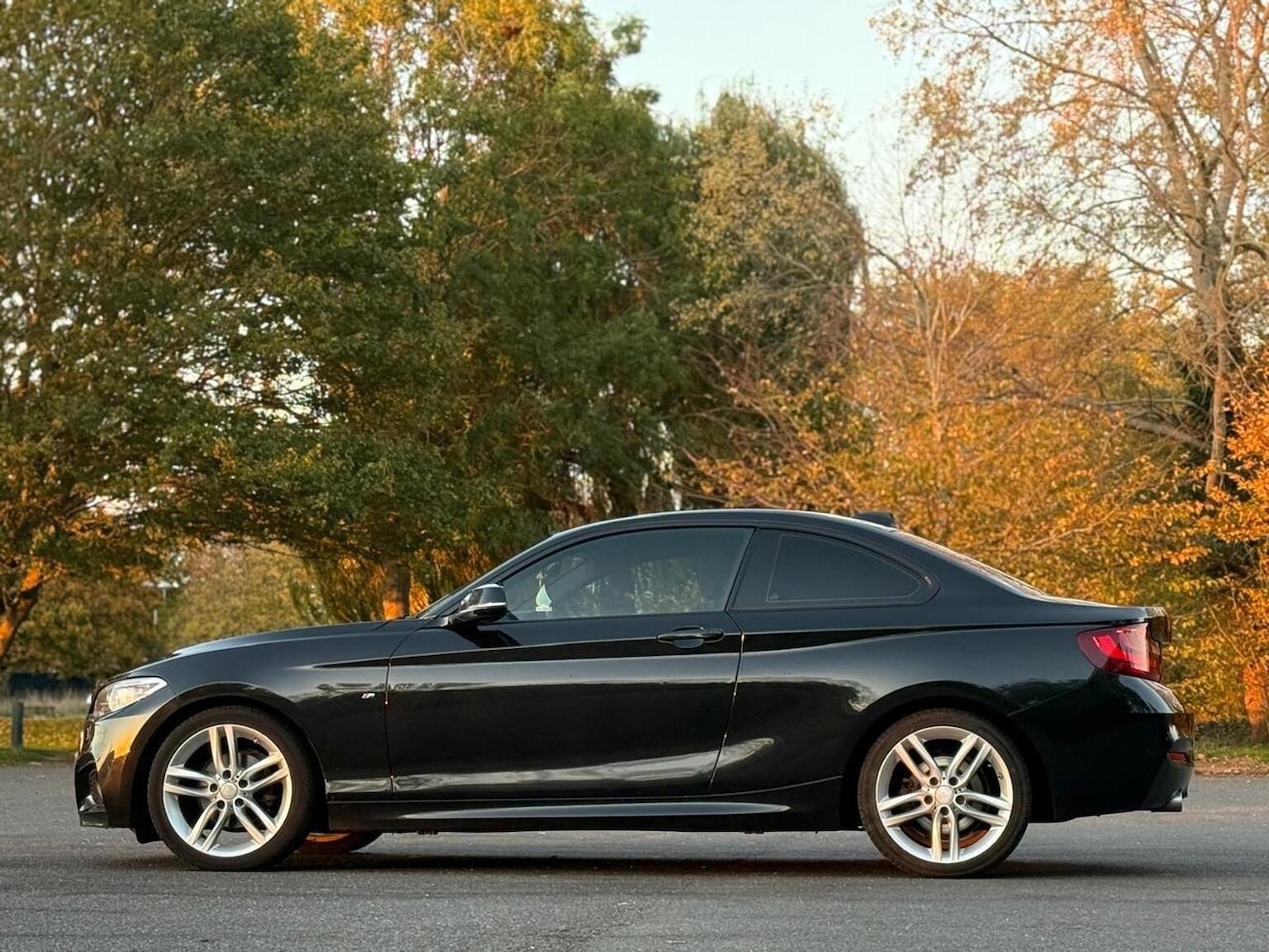 Used BMW 2 Series 2016 for sale - 76439853: Photo 9