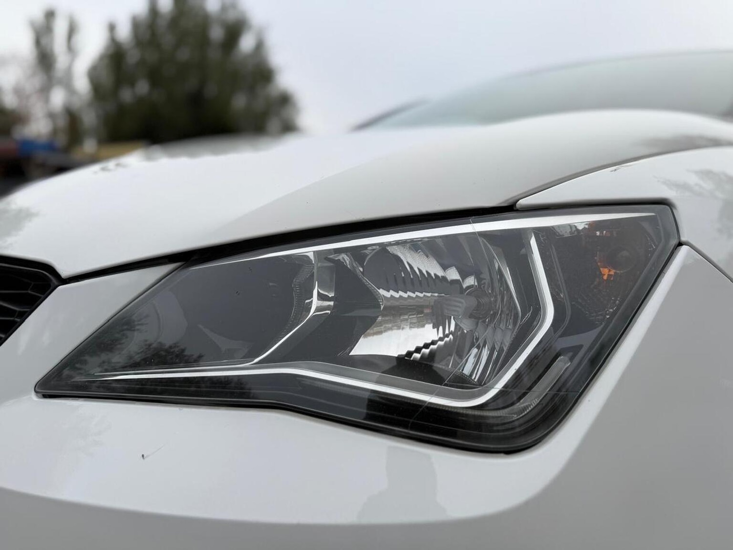 Used SEAT Ibiza 2016 for sale - 76439985: Photo 42