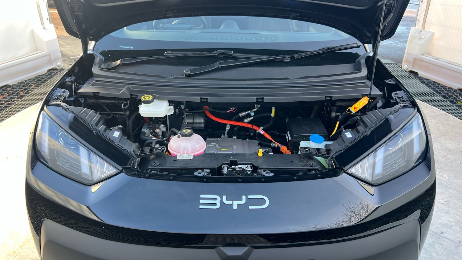 Used BYD Dolphin 2025 for sale - 77125620: Photo 8