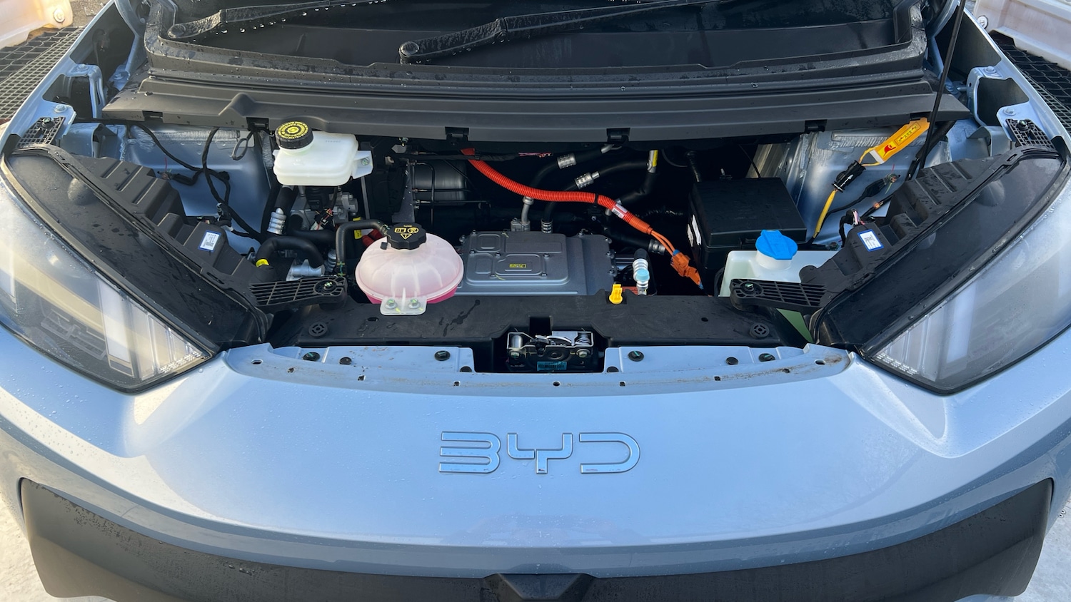 Used BYD Dolphin 2025 for sale - 78070188: Photo 8