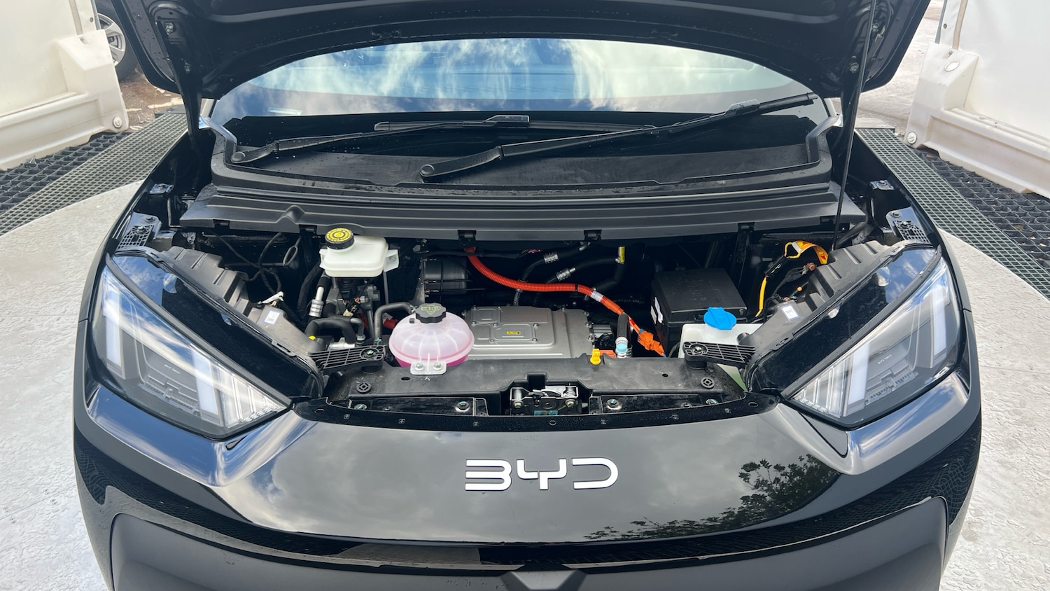 Used BYD Dolphin 2025 for sale - 76372272: Photo 8