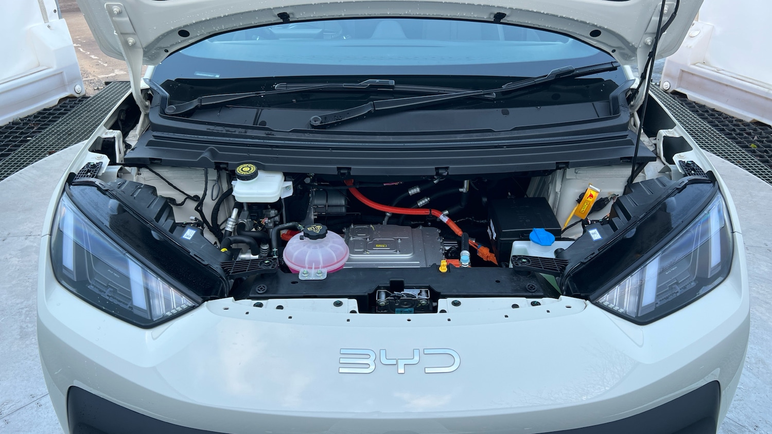 Used BYD Dolphin 2025 for sale - 78070191: Photo 8