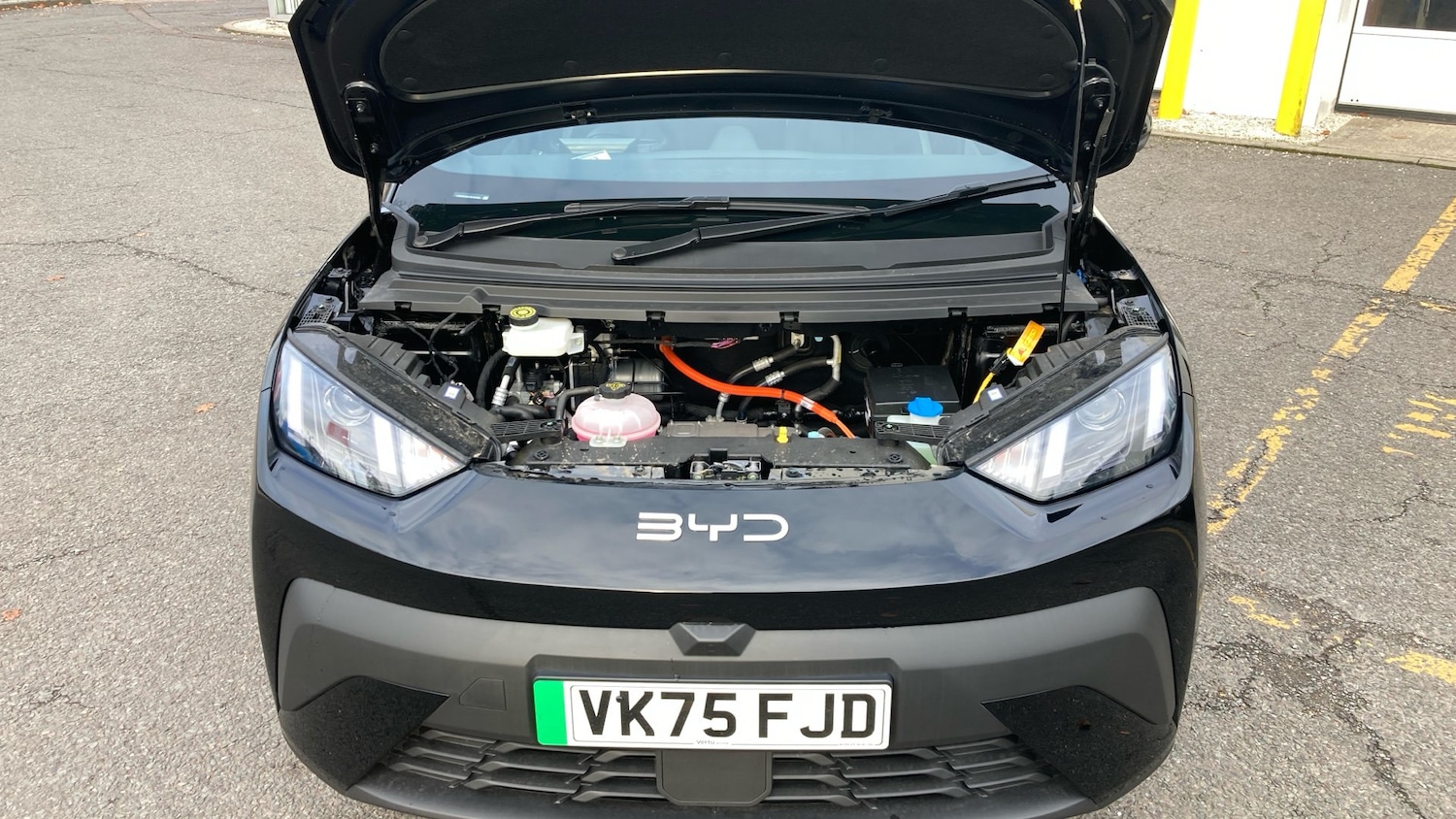 Used BYD Dolphin 2025 for sale - 76517563: Photo 8