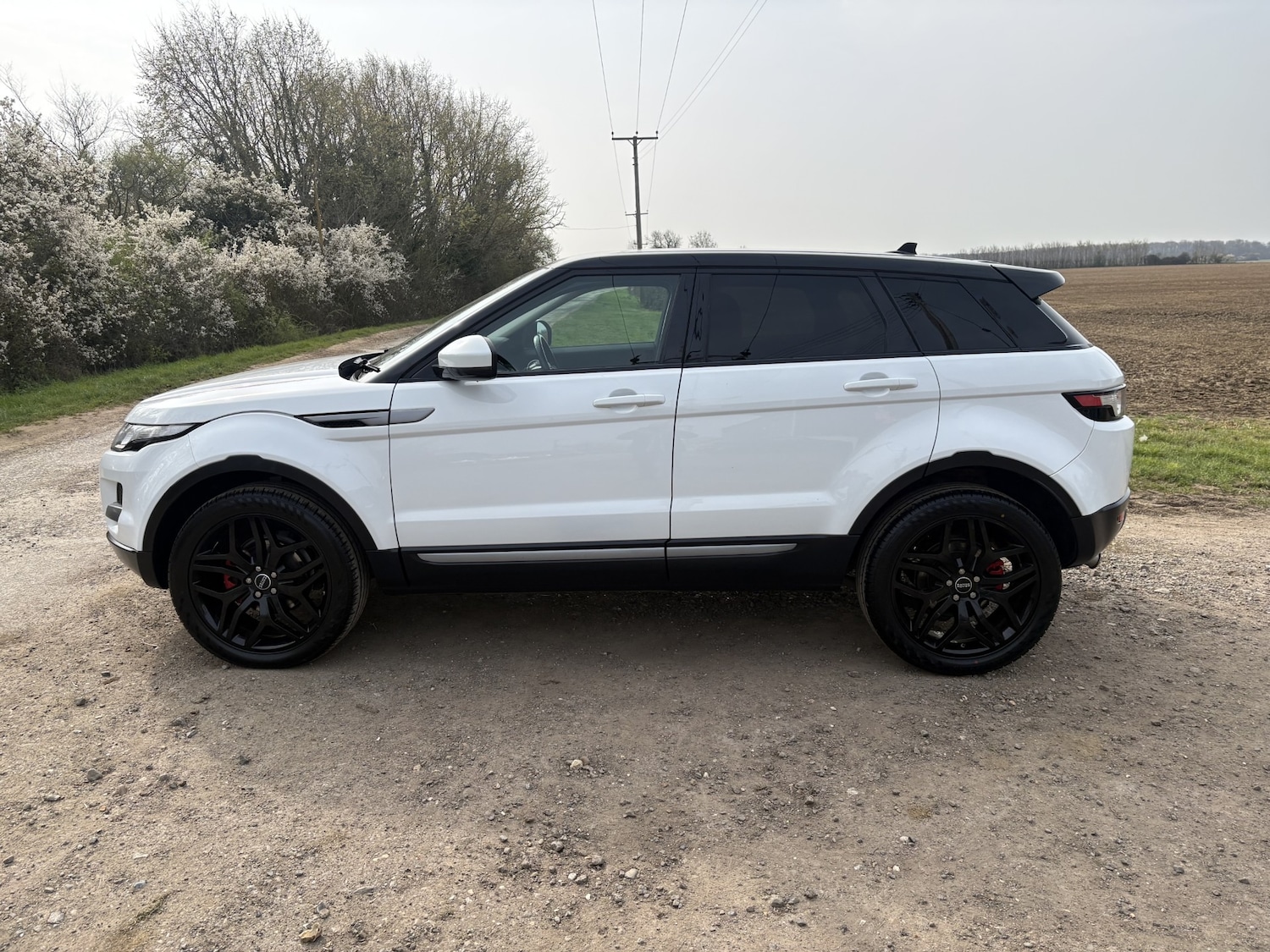 Used Land Rover Range Rover Evoque 2015 for sale - 77990332: Photo 4