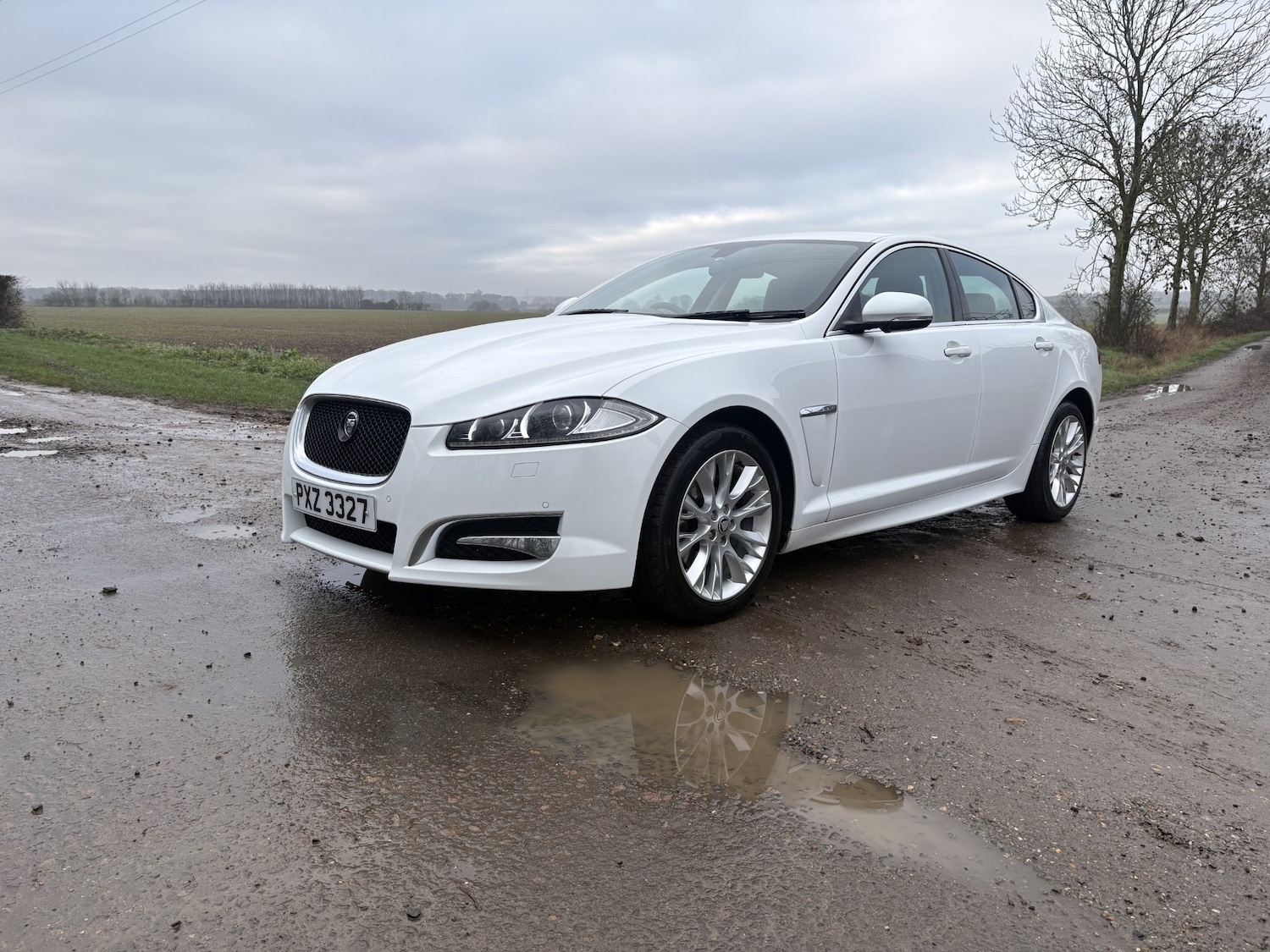 Used Jaguar XF 2012 for sale - 77437950: Photo 2