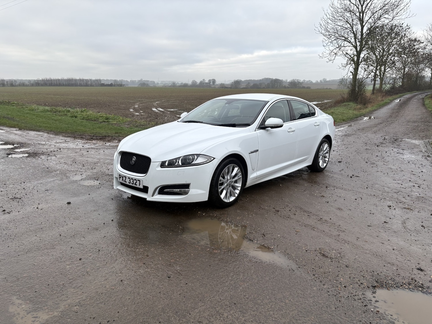 Used Jaguar XF 2012 for sale - 77437950: Photo 6