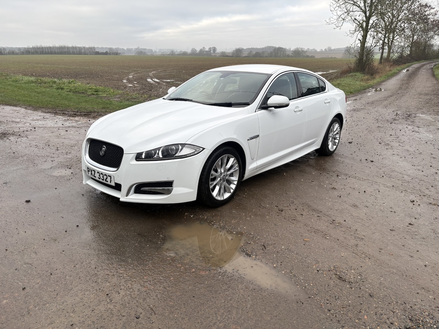 Used Jaguar XF 2012 for sale - 77437950: Photo 8