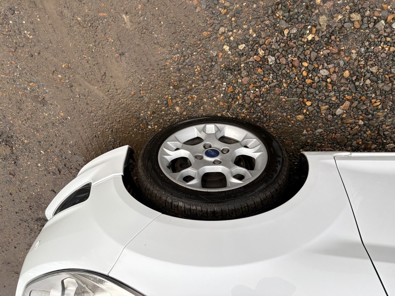 Used Ford Fiesta 2015 for sale - 77179980: Photo 19