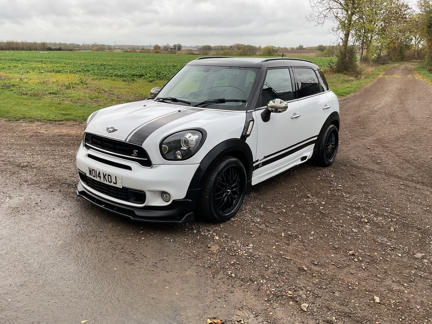 Used MINI Countryman 2014 for sale - 76479516: Photo 8