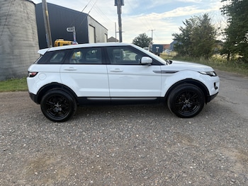 Used Land Rover Range Rover Evoque 2013 for sale - 79120666: Photo