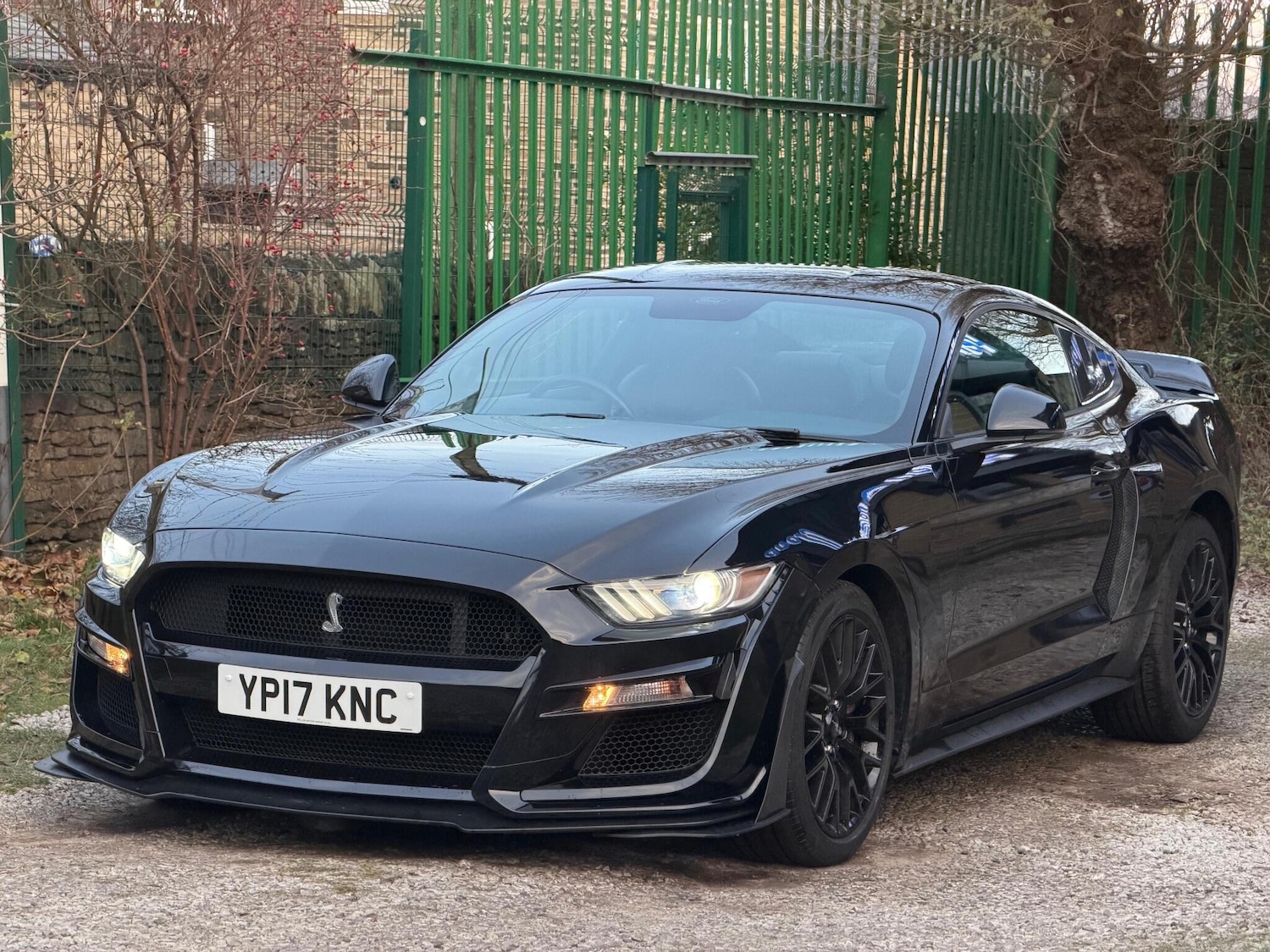 Used Ford Mustang 2017 for sale - 77190985: Photo 3