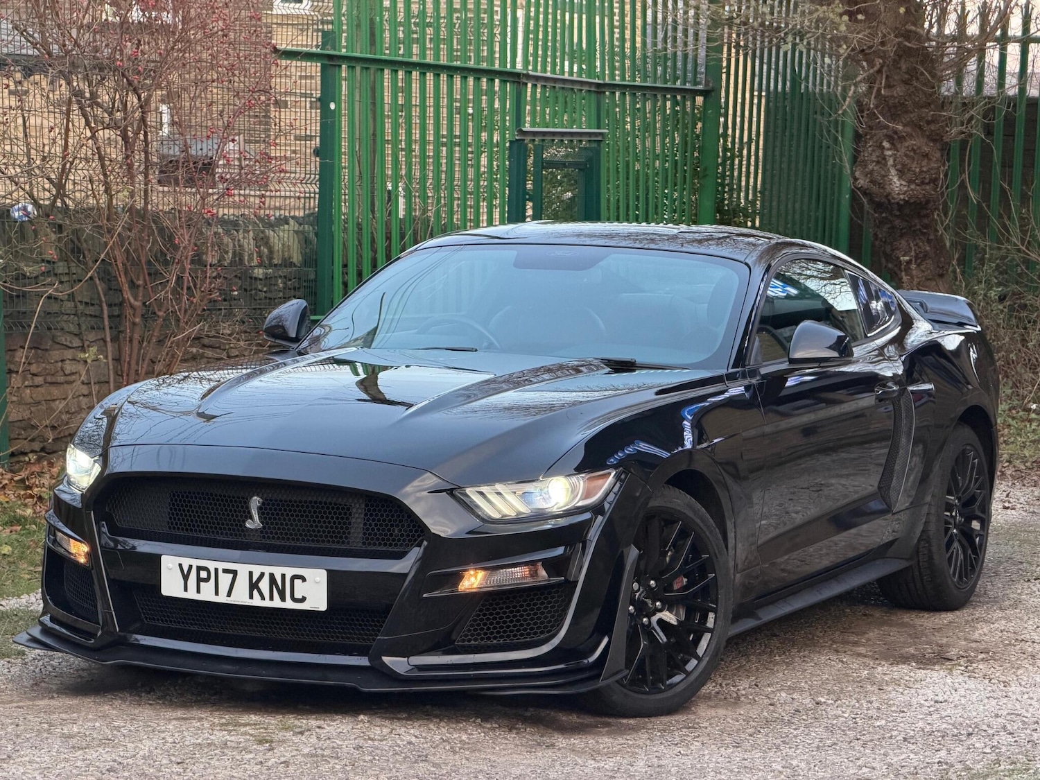 Used Ford Mustang 2017 for sale - 77190985: Photo 7