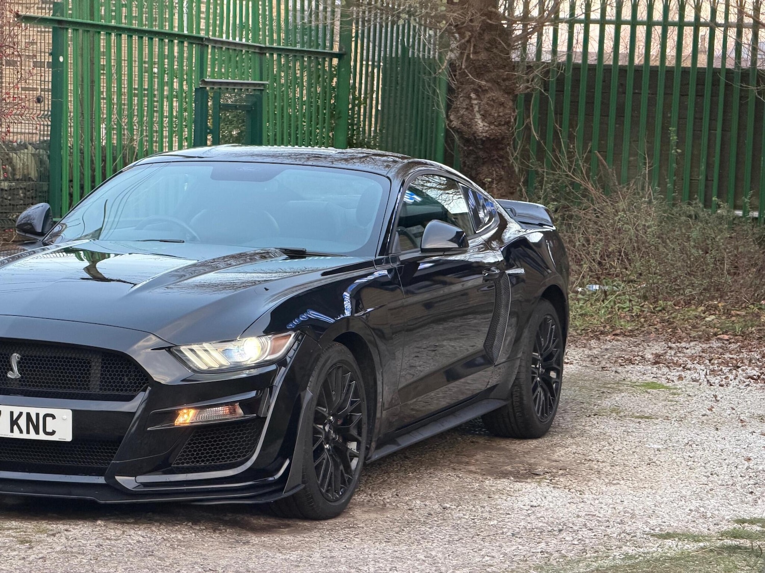 Used Ford Mustang 2017 for sale - 76667222: Photo 18