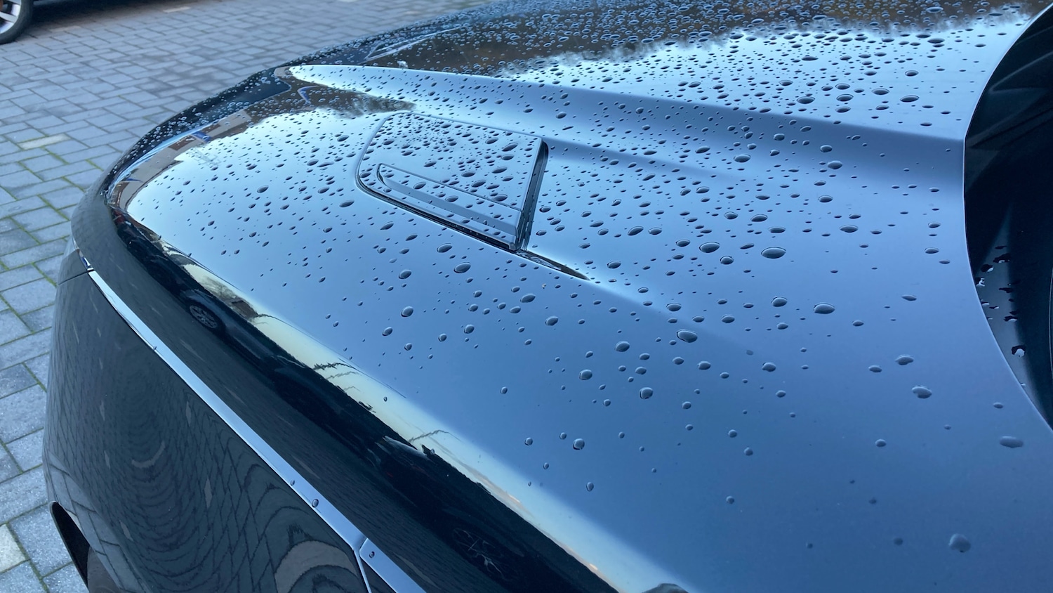 Used Land Rover Range Rover Sport 2025 for sale - 76836894: Photo 22