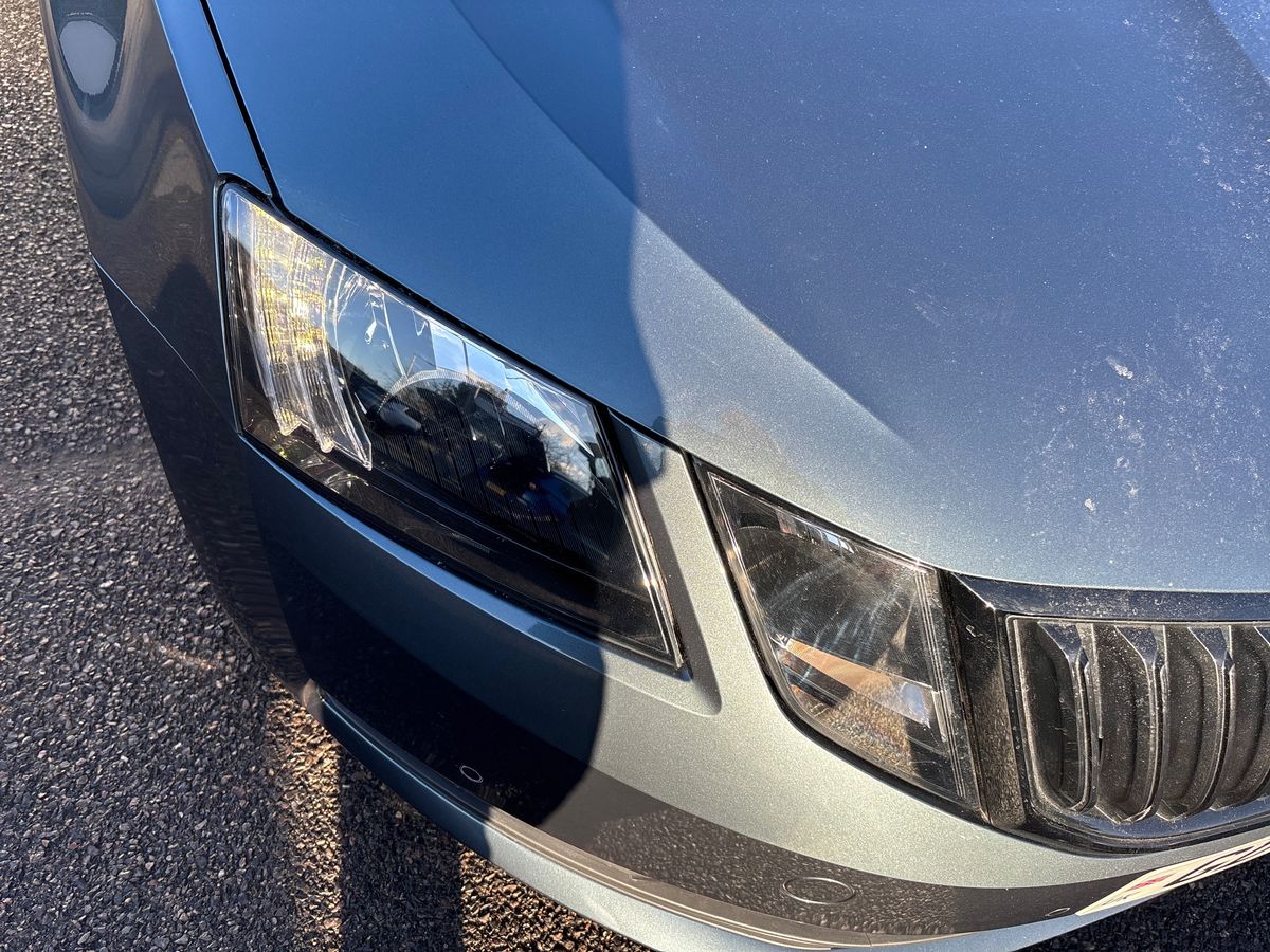 Used Skoda Octavia 2020 for sale - 77002764: Photo 21