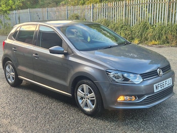 Used Volkswagen Polo 2016 for sale - 77359157: Photo