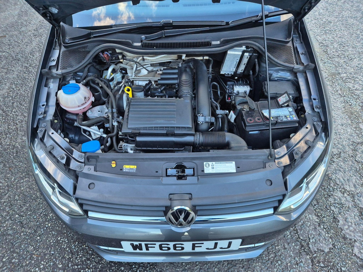 Used Volkswagen Polo for sale - 77359157: Photo 56