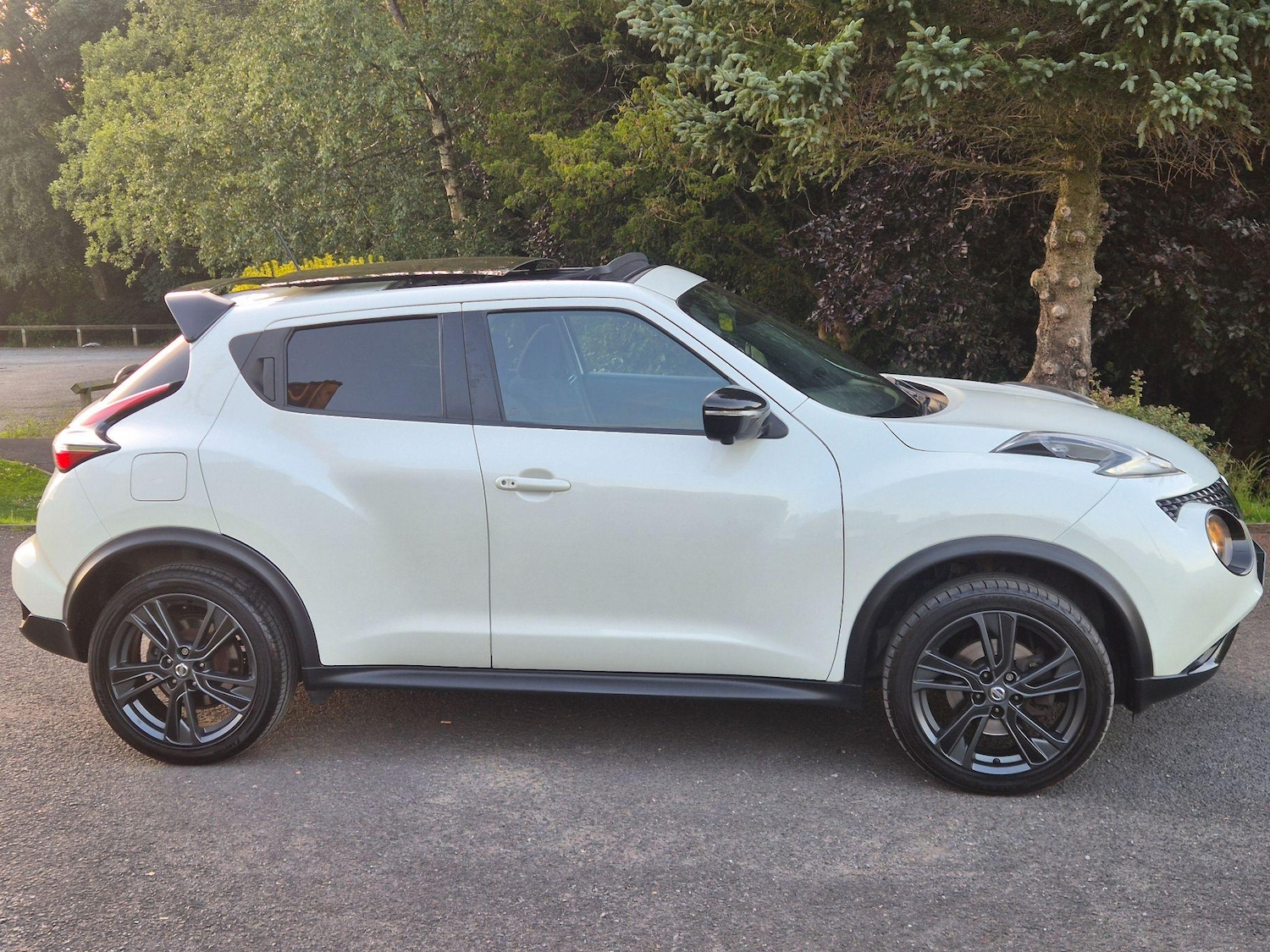 Used Nissan Juke 2016 for sale - 77358722: Photo 12