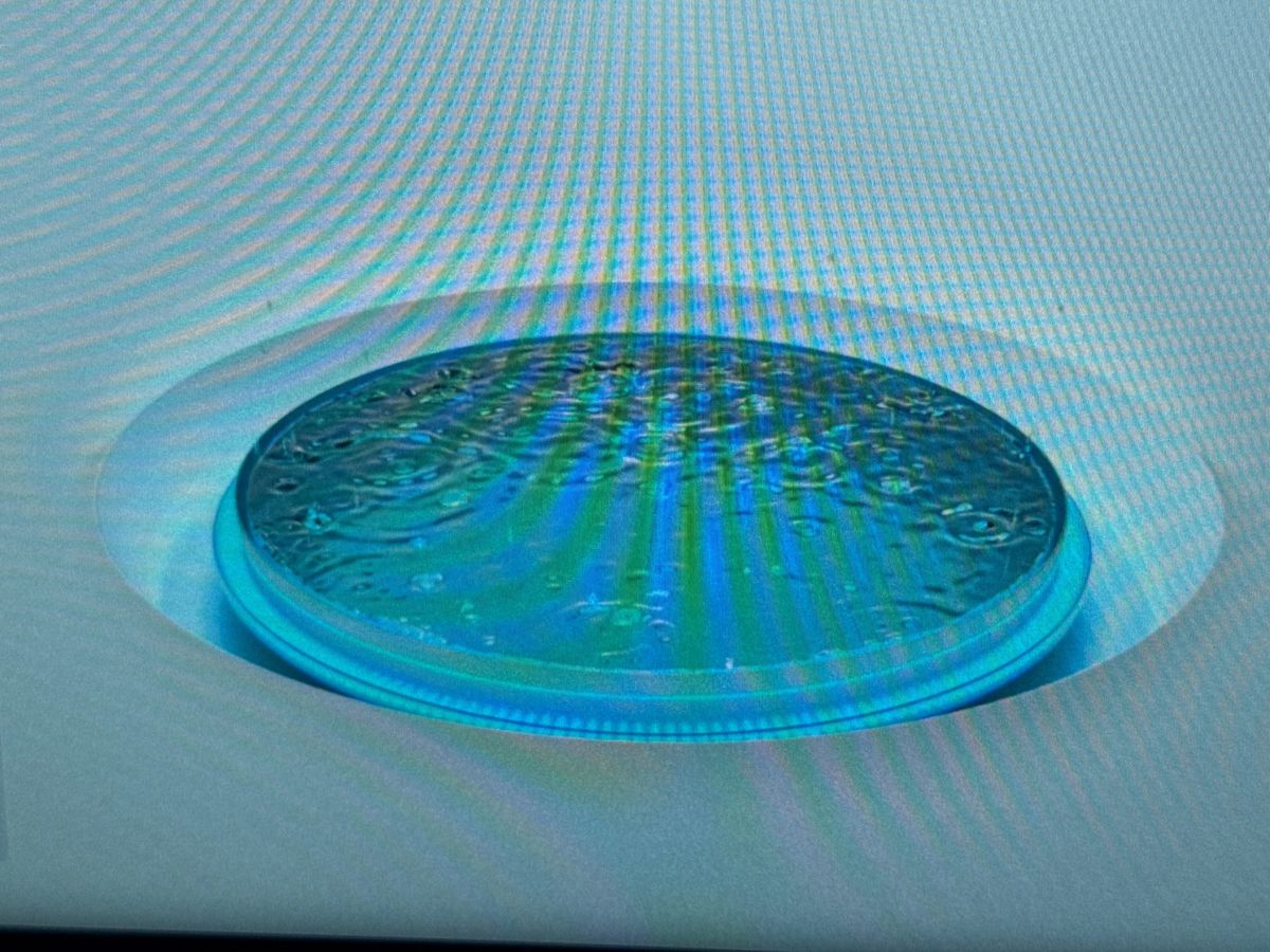 Used Ford Kuga 2025 for sale - 77884741: Photo 33