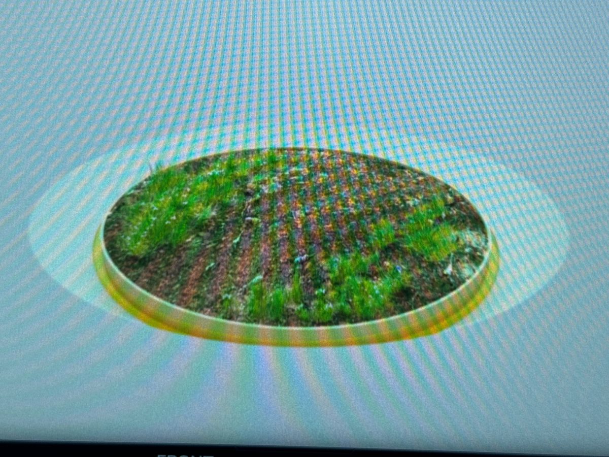 Used Ford Kuga 2025 for sale - 77884741: Photo 34