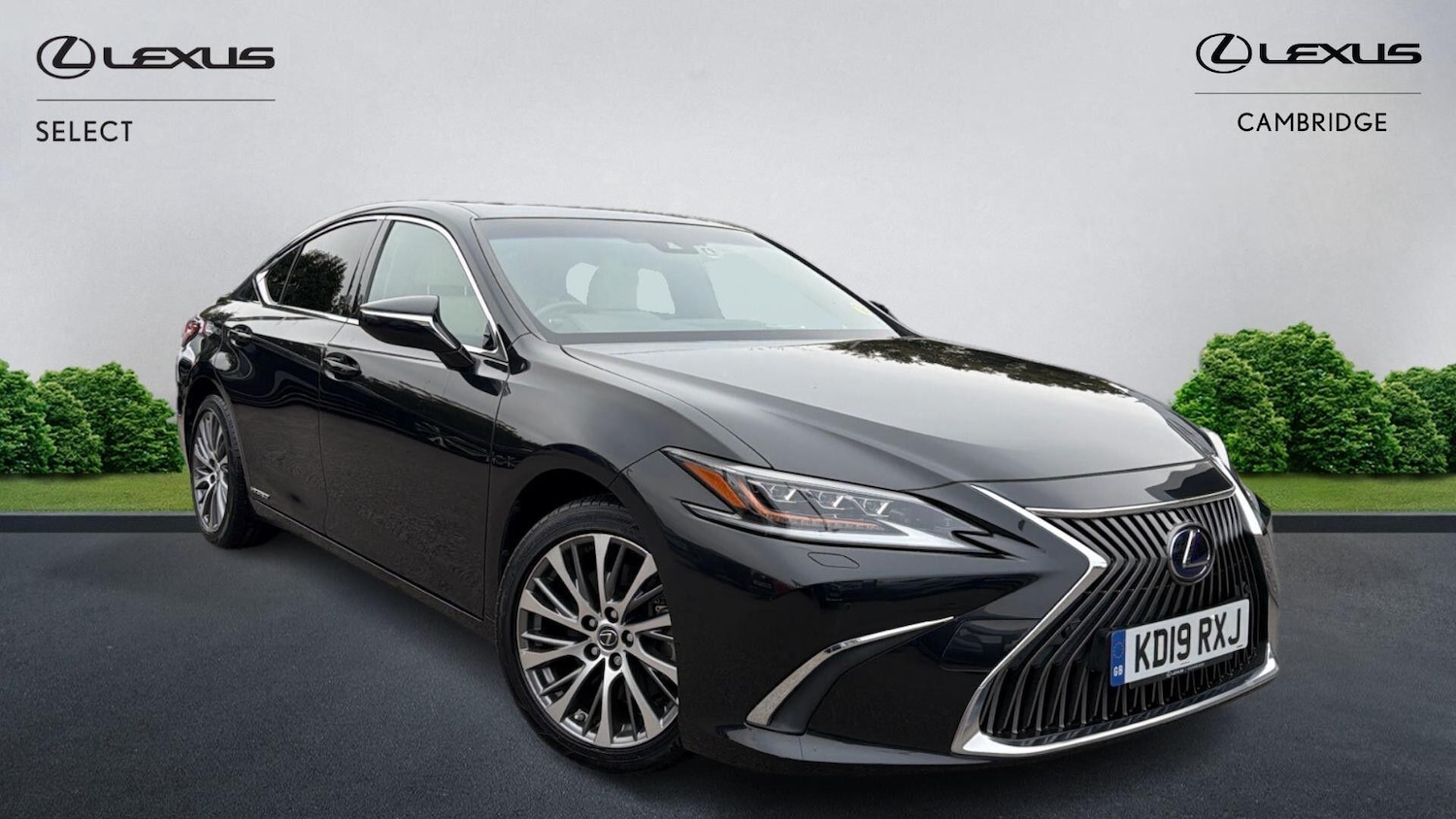 Used Lexus ES 2019 for sale - 76259126: Photo 1