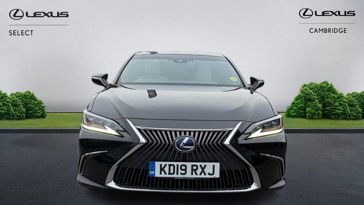 Used Lexus ES 2019 for sale - 76259126: Photo 7