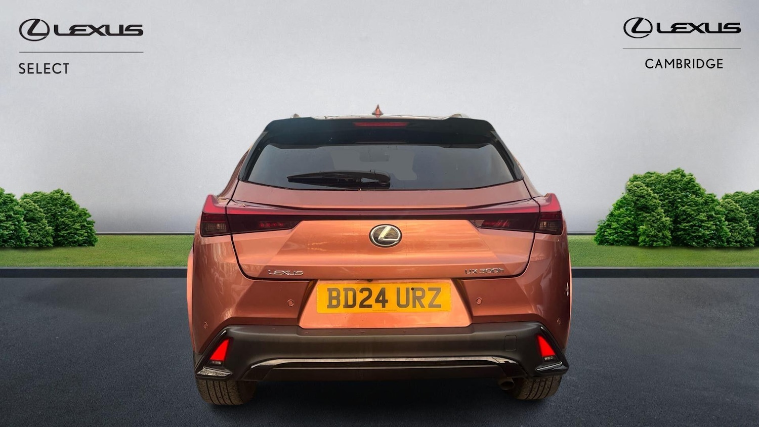 Used Lexus UX 2024 for sale - 76727780: Photo 8