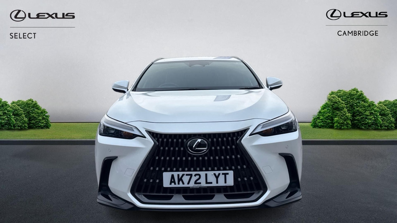 Used Lexus NX for sale - 77670394: Photo 2