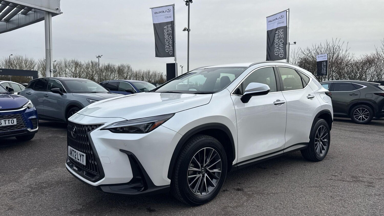 Used Lexus NX for sale - 77670394: Photo 20