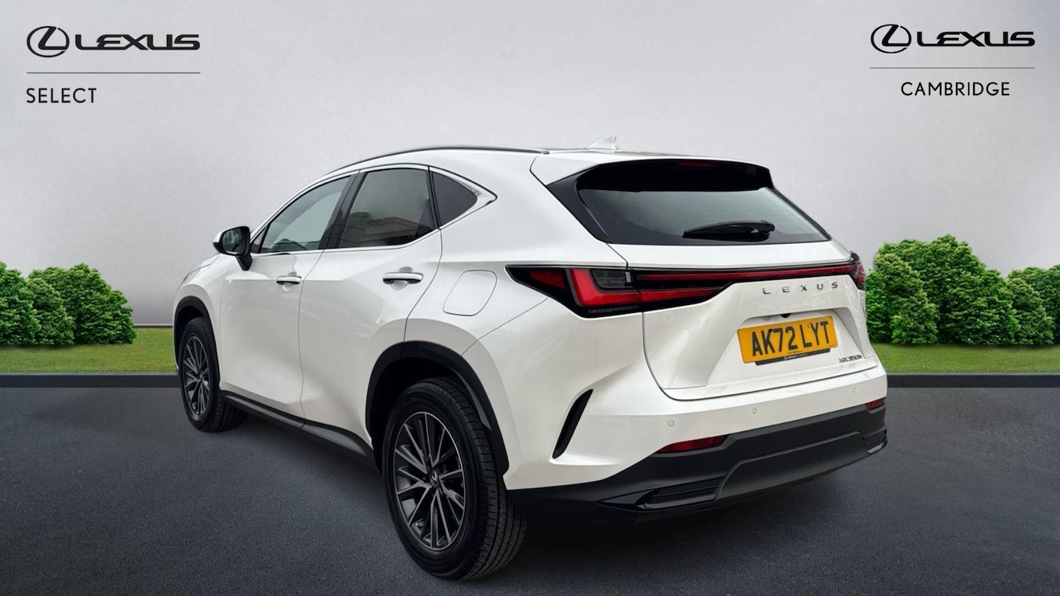 Used Lexus NX for sale - 77670394: Photo 3