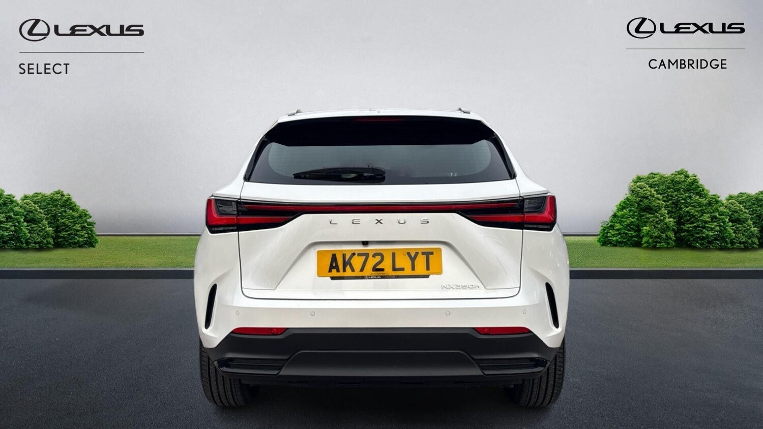 Used Lexus NX for sale - 77670394: Photo 8