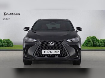 Used Lexus NX 2024 for sale - 78318921: Photo