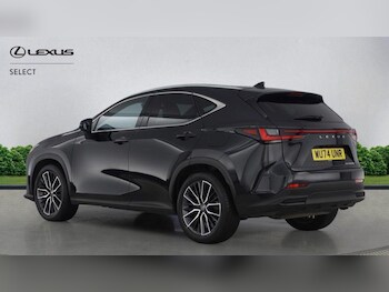 Used Lexus NX 2024 for sale - 78318921: Photo