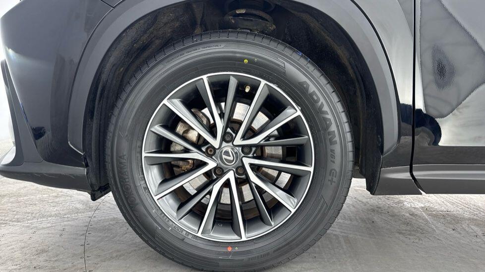 Used Lexus NX for sale - 77839962: Photo 13