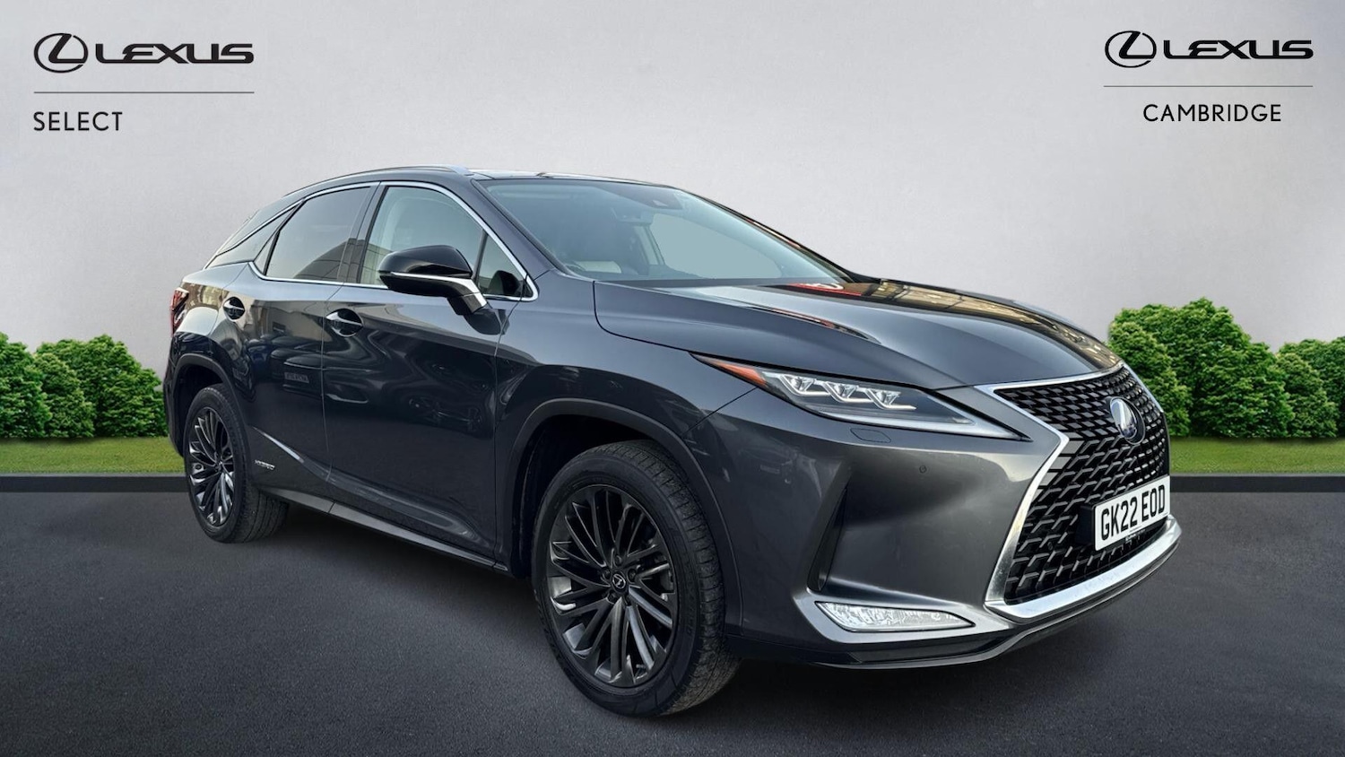 Used Lexus RX 2022 for sale - 77330371: Photo 1