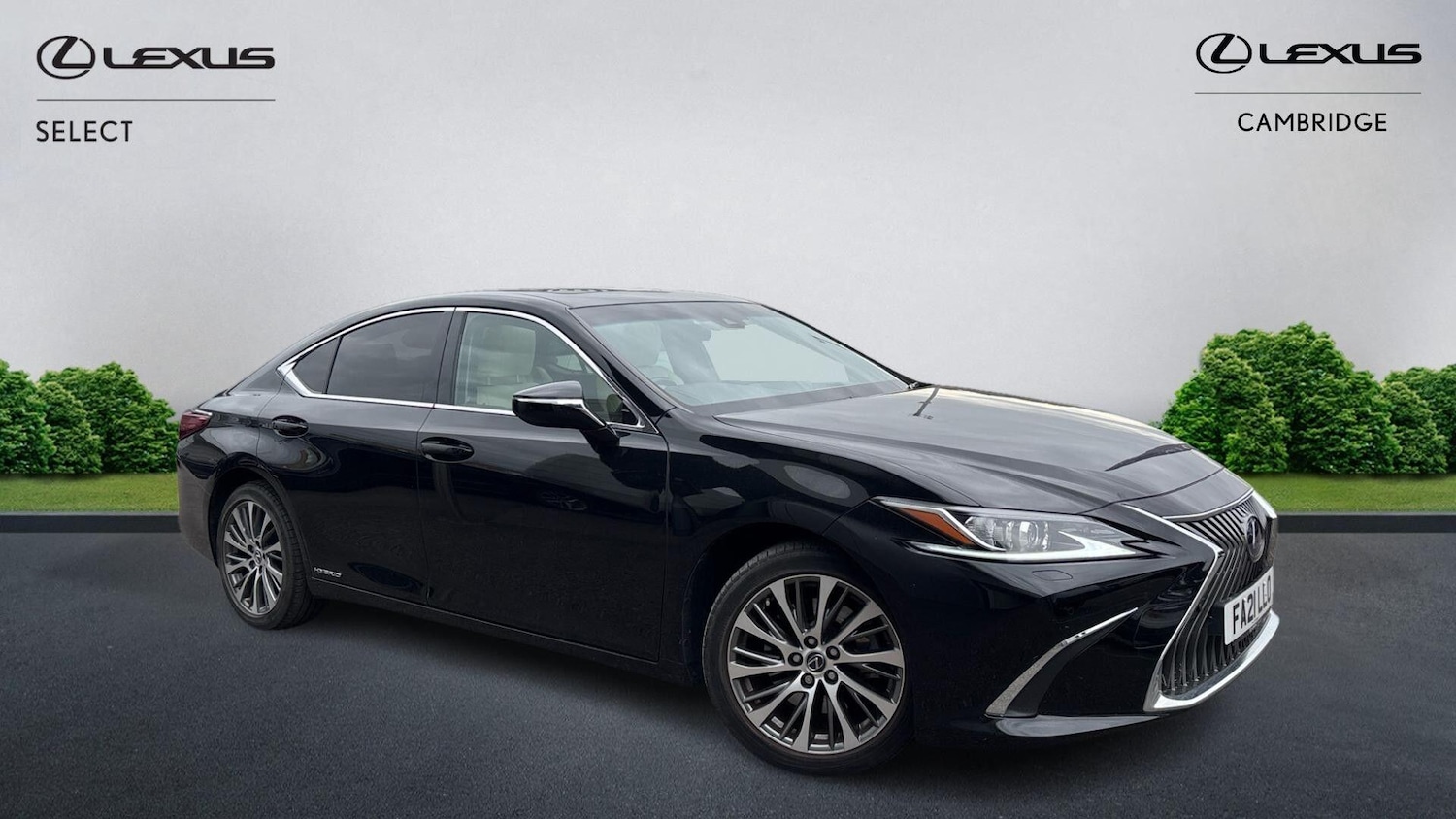 Used Lexus ES 2021 for sale - 76099549: Photo 1