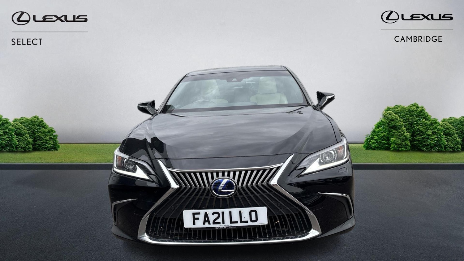 Used Lexus ES 2021 for sale - 76099549: Photo 2