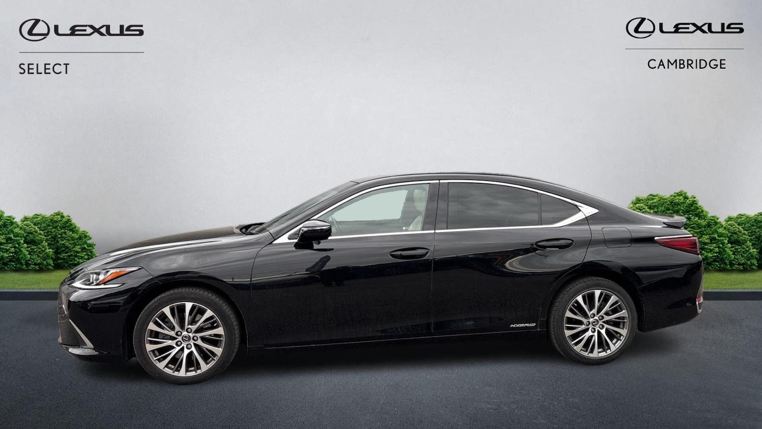 Used Lexus ES 2021 for sale - 76099549: Photo 4