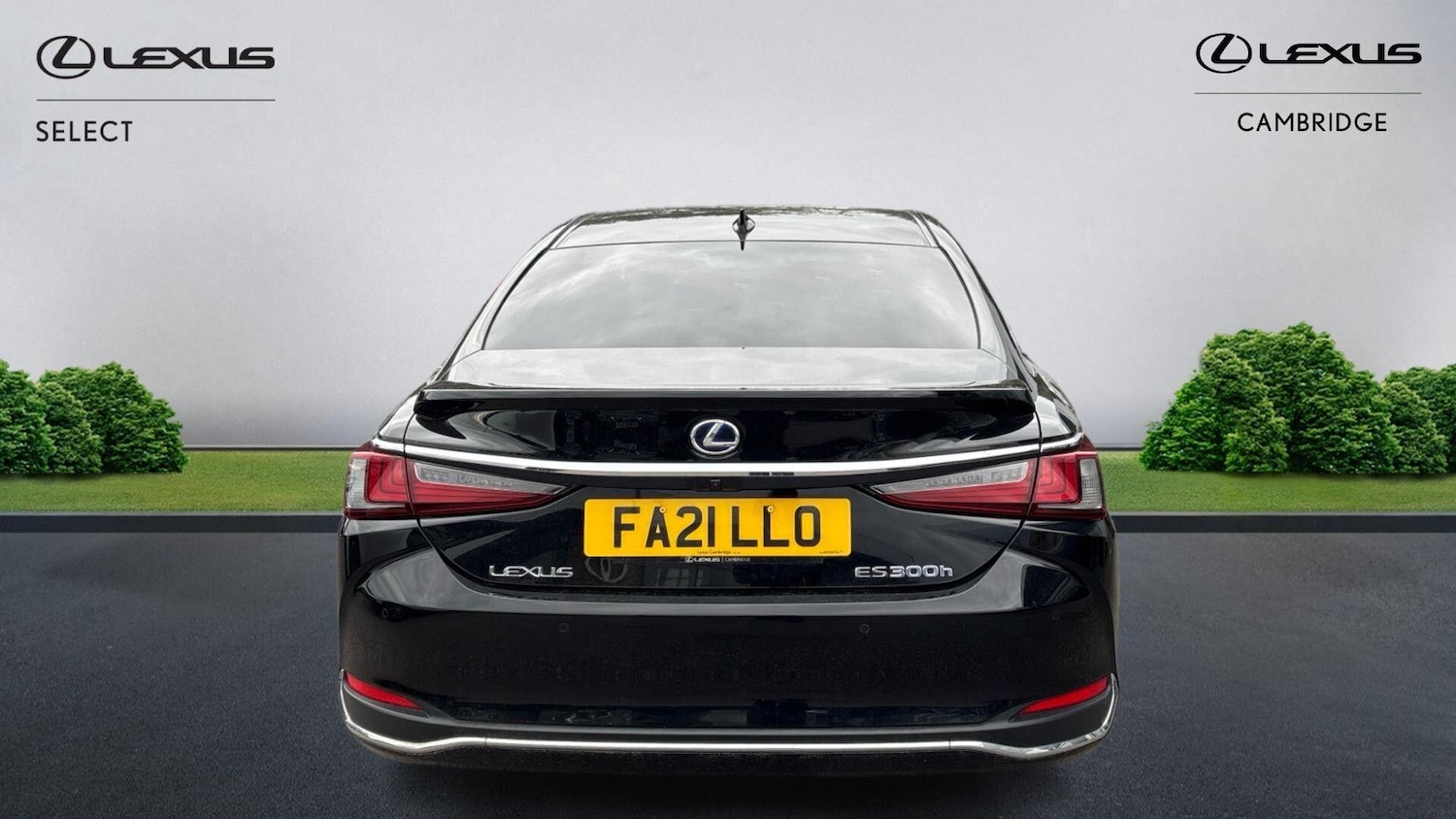 Used Lexus ES 2021 for sale - 76099549: Photo 8