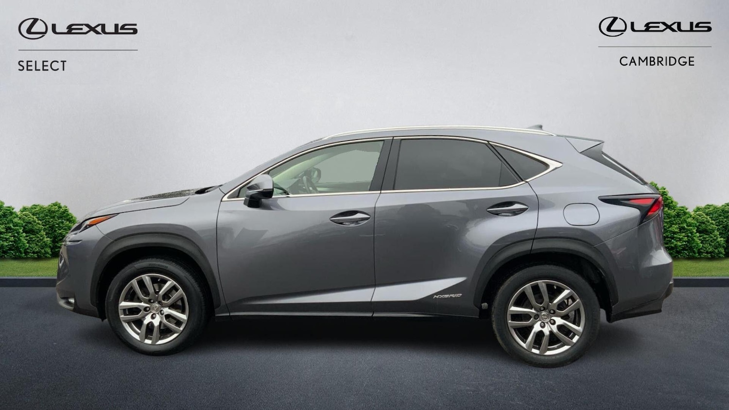 Used Lexus NX 2015 for sale - 77090884: Photo 3