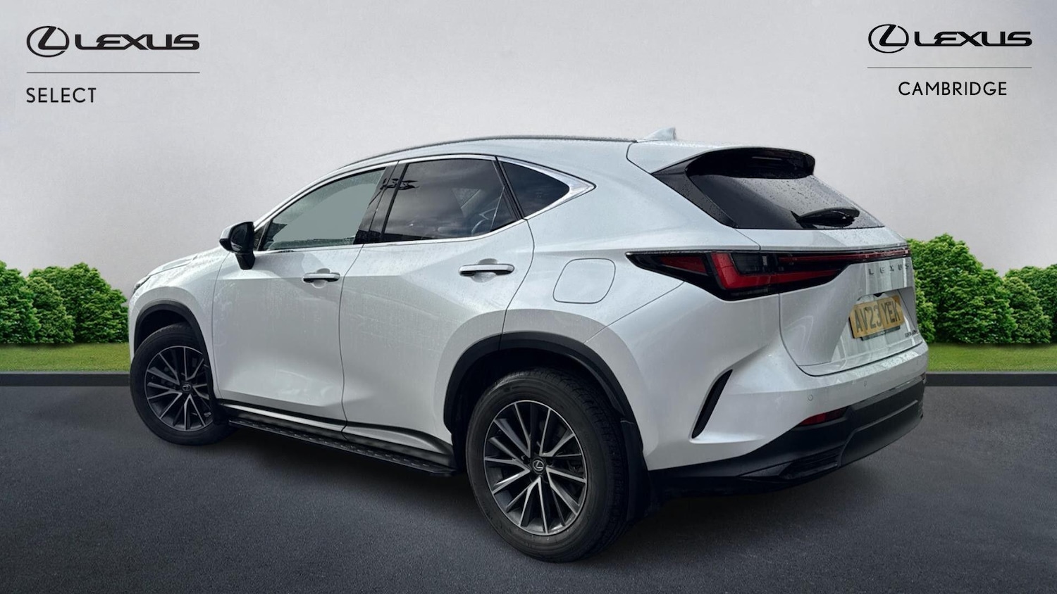 Used Lexus NX 2023 for sale - 77441186: Photo 2