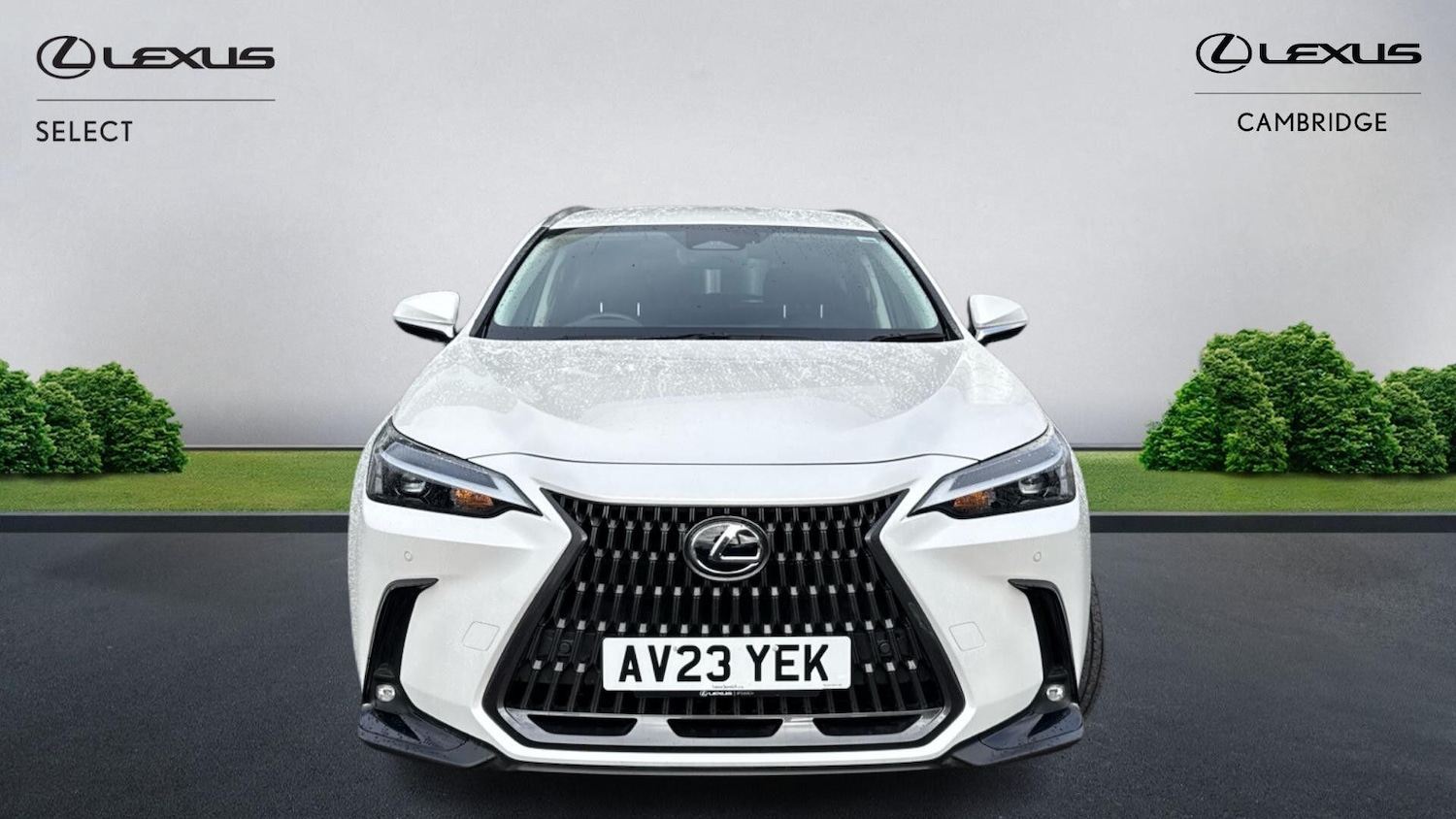 Used Lexus NX 2023 for sale - 77441186: Photo 7