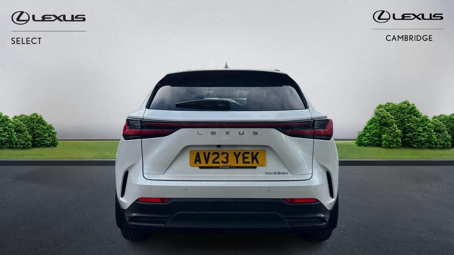 Used Lexus NX 2023 for sale - 77441186: Photo 8