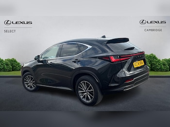 Used Lexus NX 2024 for sale - 79373128: Photo