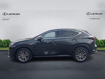 Used Lexus NX 2024 for sale - 79373128: Photo