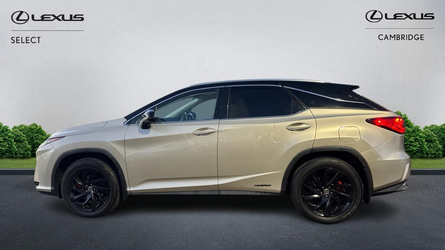 Used Lexus RX 2017 for sale - 77097944: Photo 3