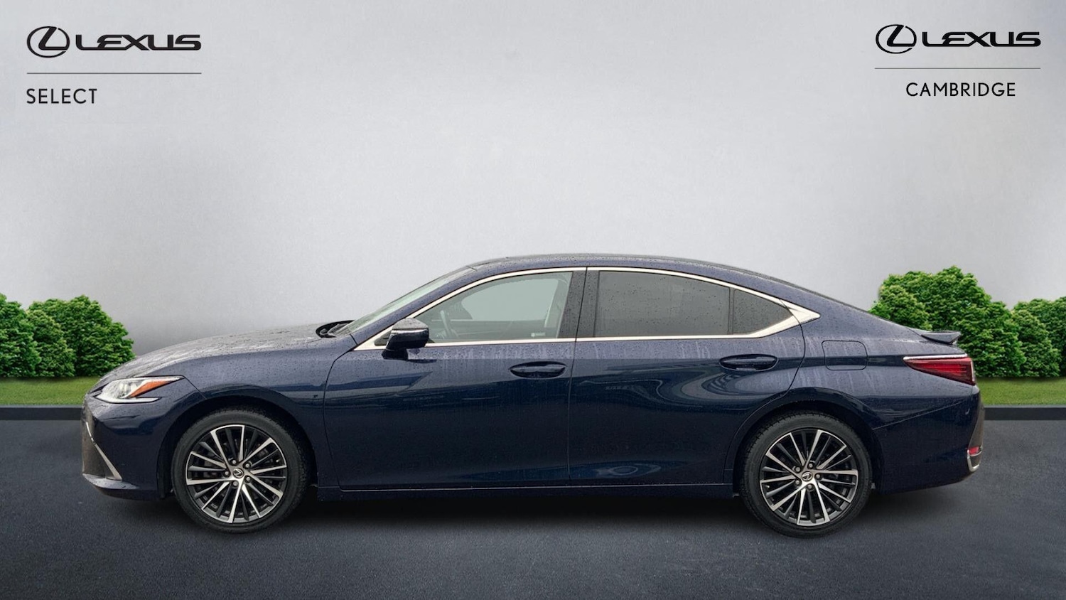 Used Lexus ES for sale - 77671422: Photo 3