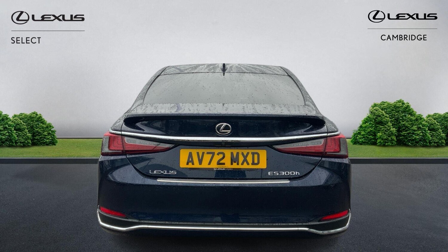 Used Lexus ES for sale - 77671422: Photo 8